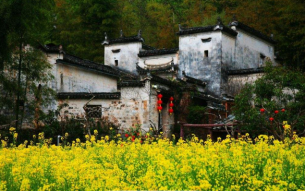 樓房房頂滲水怎么處理？這些方法你一定得知道